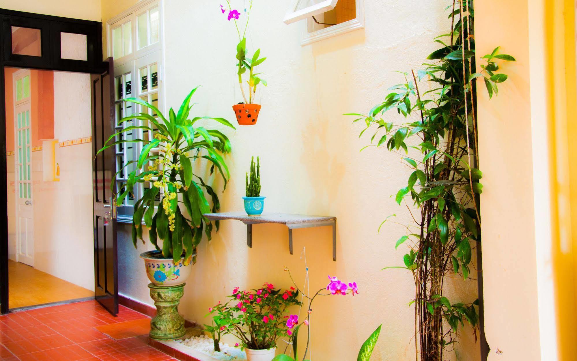 Memories Homestay Hoi An Eksteriør billede